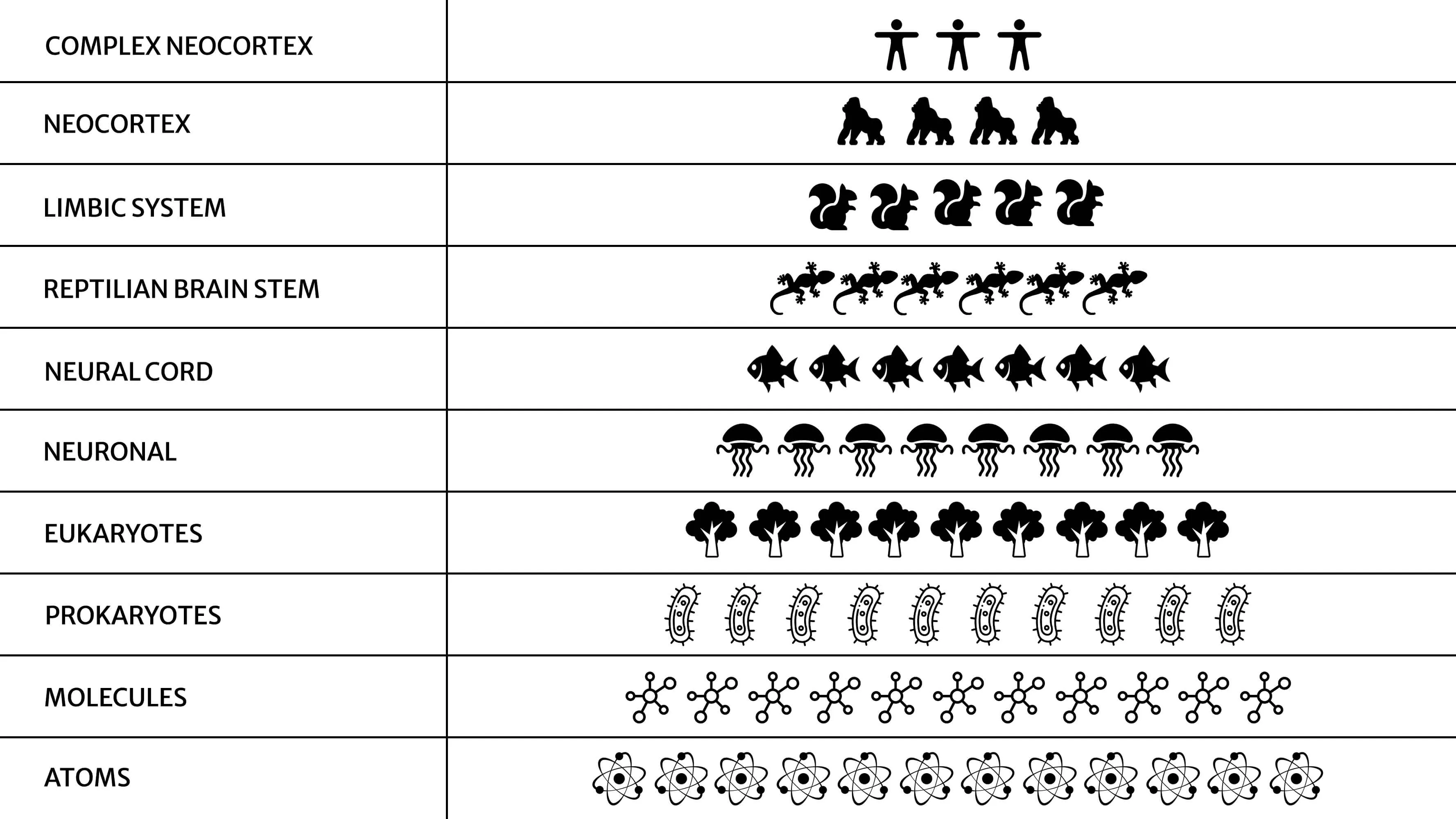 A diagram of the holarchy